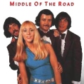 Middle Of The Road The Collection Формат: Audio CD Дистрибьютор: RCA Лицензионные товары Характеристики аудионосителей 1998 г Сборник: Импортное издание инфо 3489z.